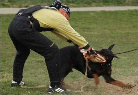 Training in Prague - 2. 4. 2008